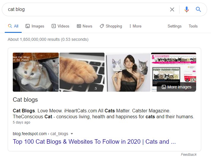cat blog Google search results