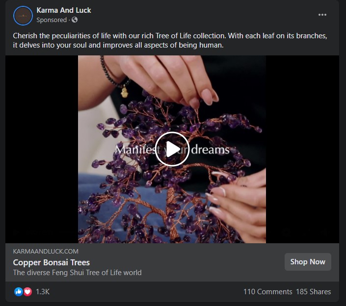 Karma And Luck Facebook Ads