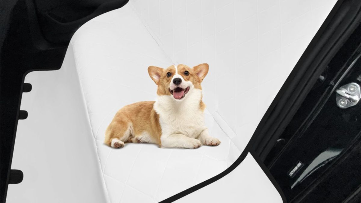 3 Best Pet Seat Cover Print-On-Demand Suppliers